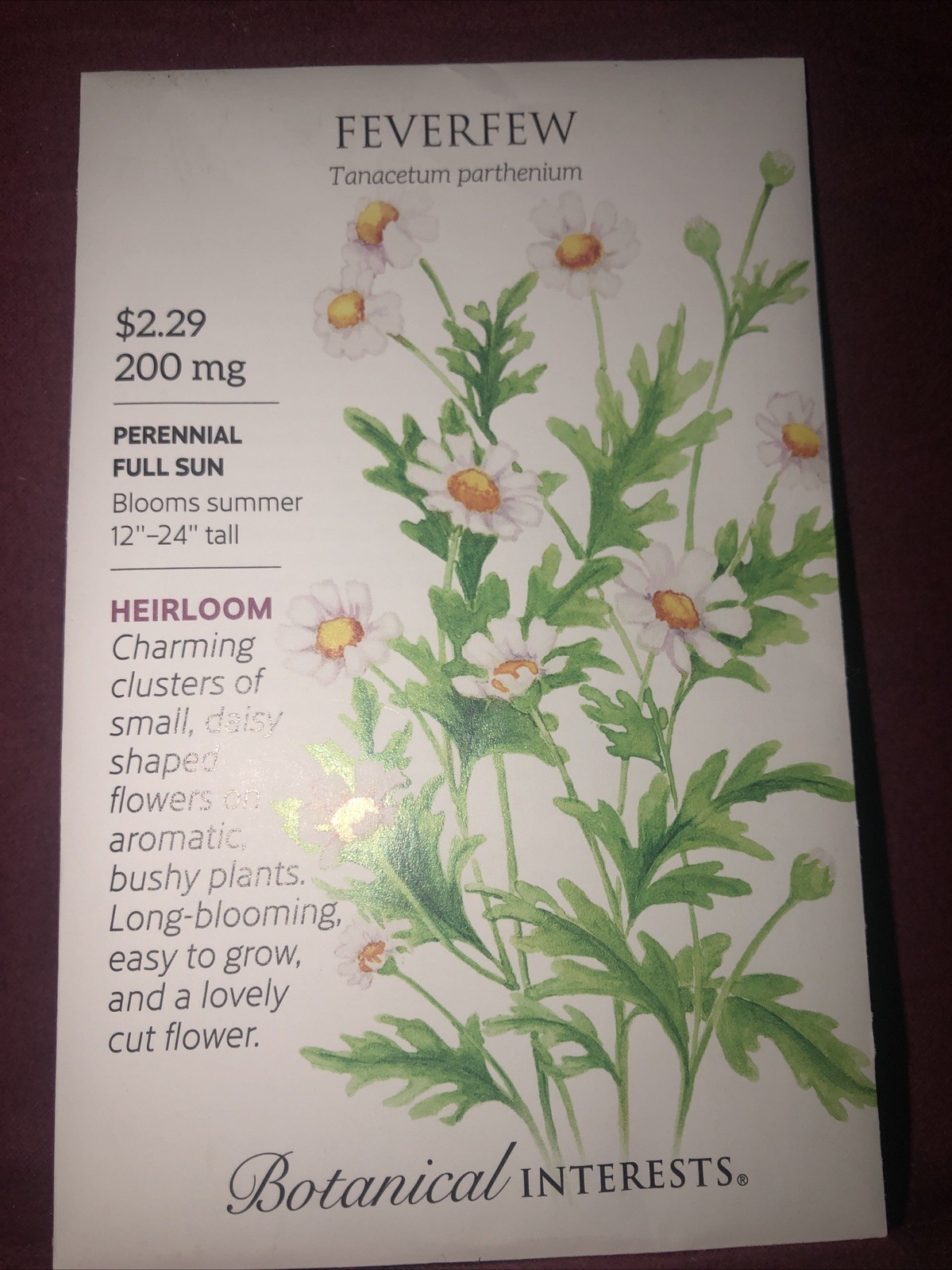Feverfew Floral Herb Heirloom Seeds Botanical Interests Exp. 12/2024
