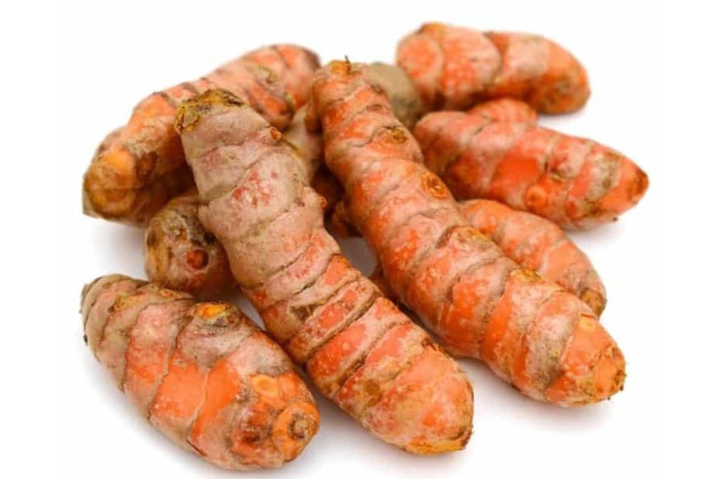 FRESH WILD TURMERIC FROM FIJI Root – 1 Lb – Top Grade