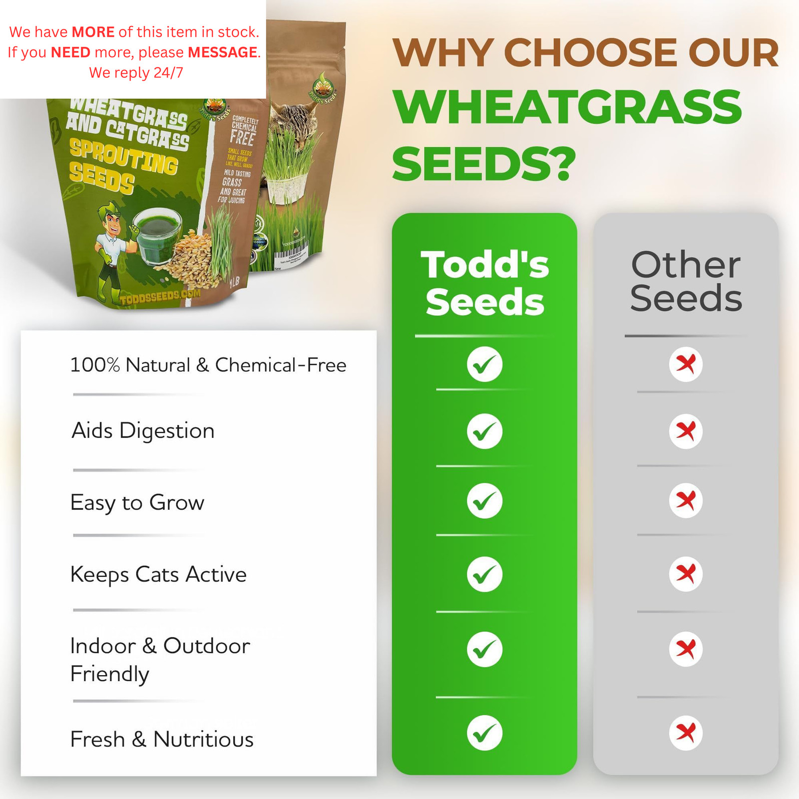 Todd’s Seeds Wheatgrass Seeds; Hard Red Winter Wheat, Non-GMO, 1/4 Pound,