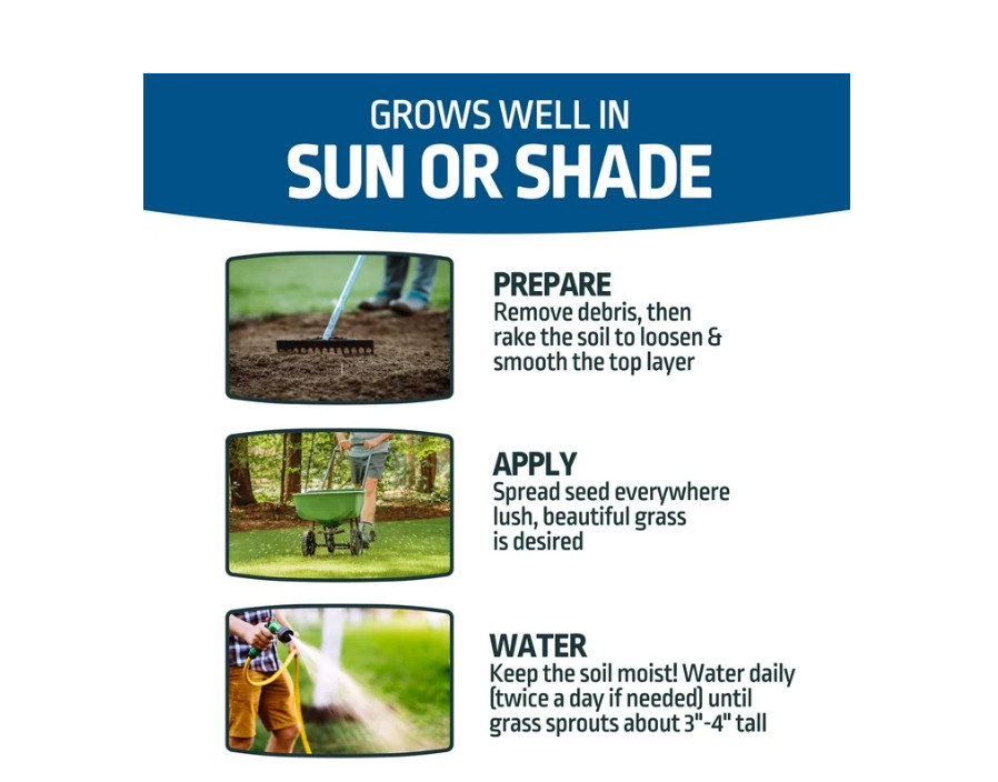 Kentucky Bluegrass Northern Grass Seed Mix, Sun to Partial Shade, 7 lb, New