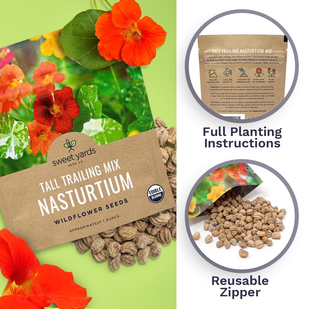 Nasturtium Seeds Mixed Colors Large Packet 200 Flower Seeds Tropaeolum Majus