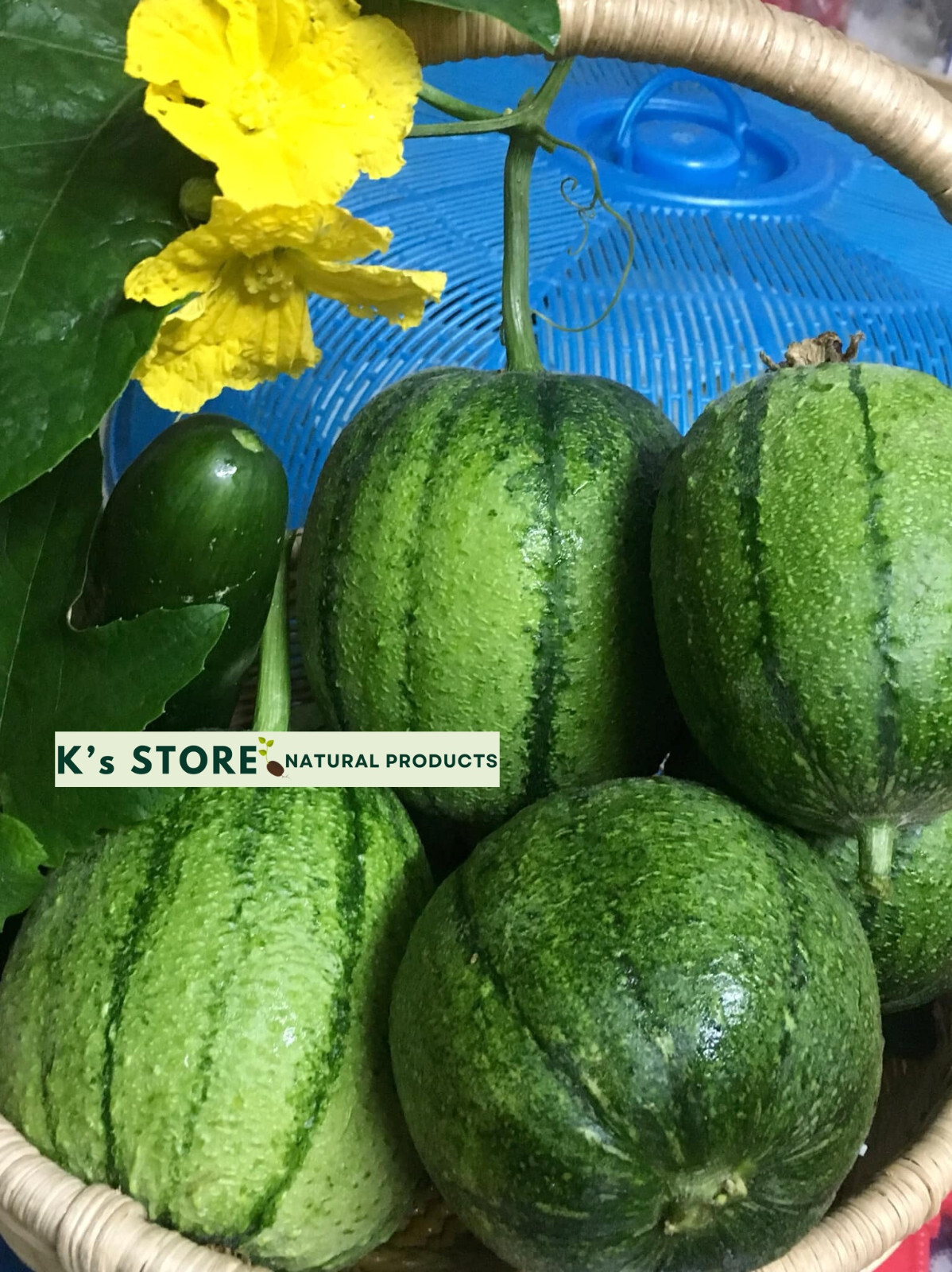 Taiwan APPLE LUFFA Hybrid Seeds; 蘋果絲瓜 very sweet can be eaten raw; from 農友種苗