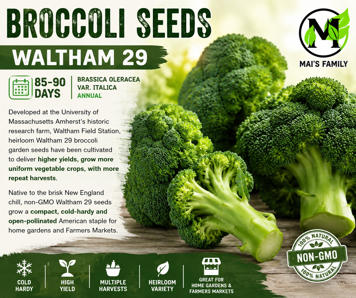 Waltham 29 Broccoli Seeds, 85-90 Days, Heirloom Non-GMO Brassica Vegetable Seeds