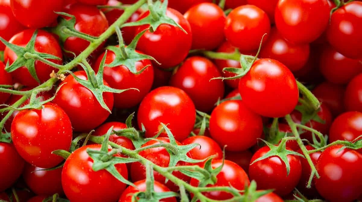 50+ SEEDS ORGANIC SUPER SWEET 100 MINI ROUND CHERRY TOMATO, USA