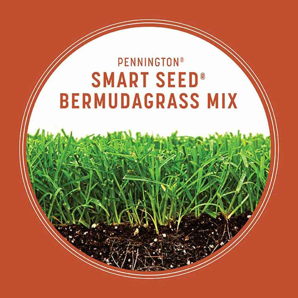 Pennington 8.75 lb Bermuda Smart Grass Seed plus Fertilizer Mix