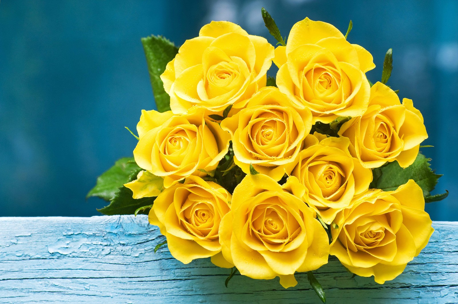 5 YELLOW ROSE Rosa Bush Shrub Perennial Flower Seeds *Flat S/H