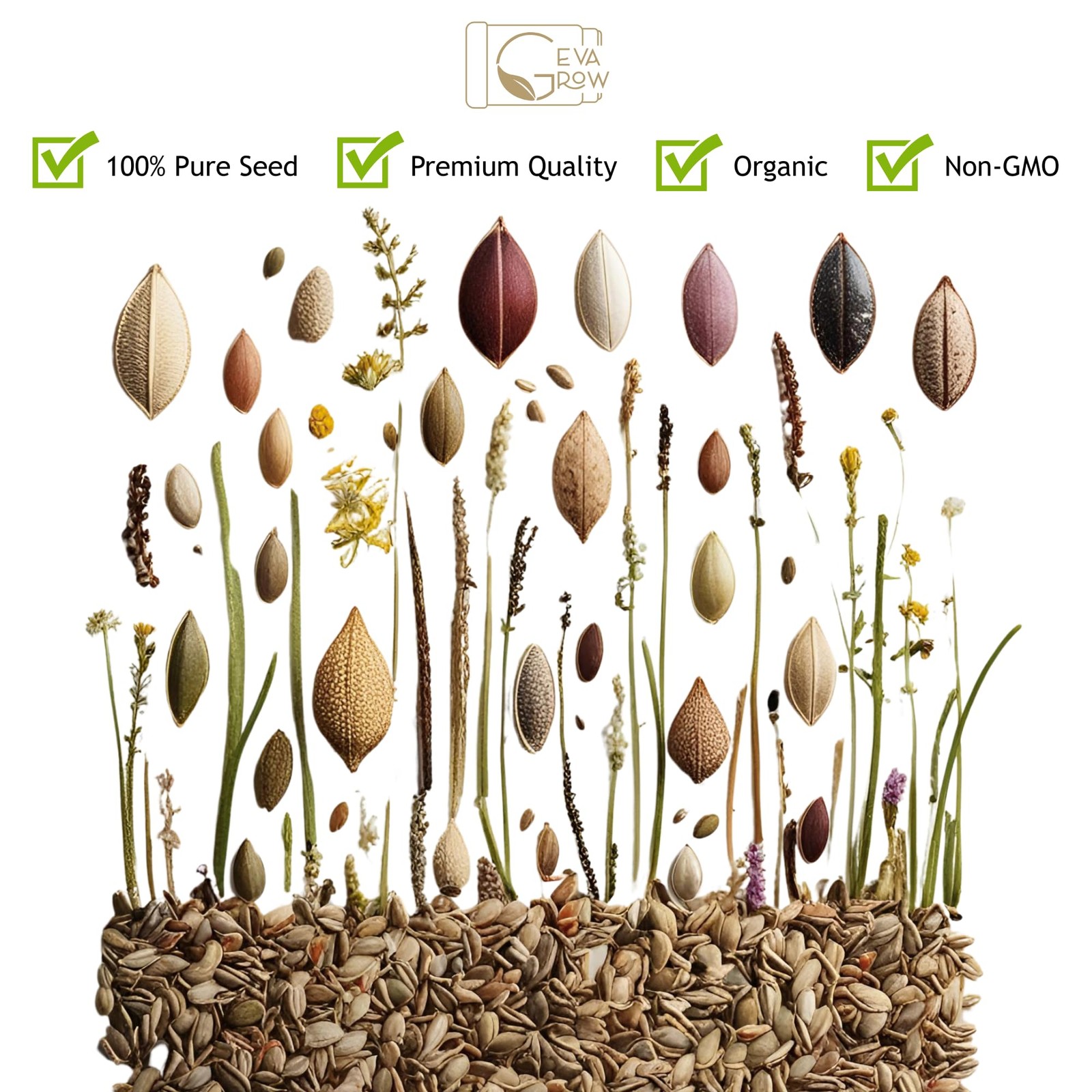 Wildflower Seeds Bulk, 1 Oz. 40,000+ Seeds – Butterfly & Hummingbird Mix