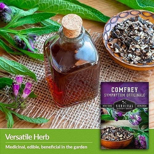 Comfrey Seeds for Planting – Symphytum Officinale Medicinal Perennial Herb for C