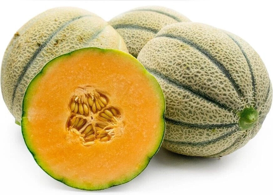 50+ seeds Extra Sweet Tuscan Heirloom Cantaloupe Seeds Organic non-GMO