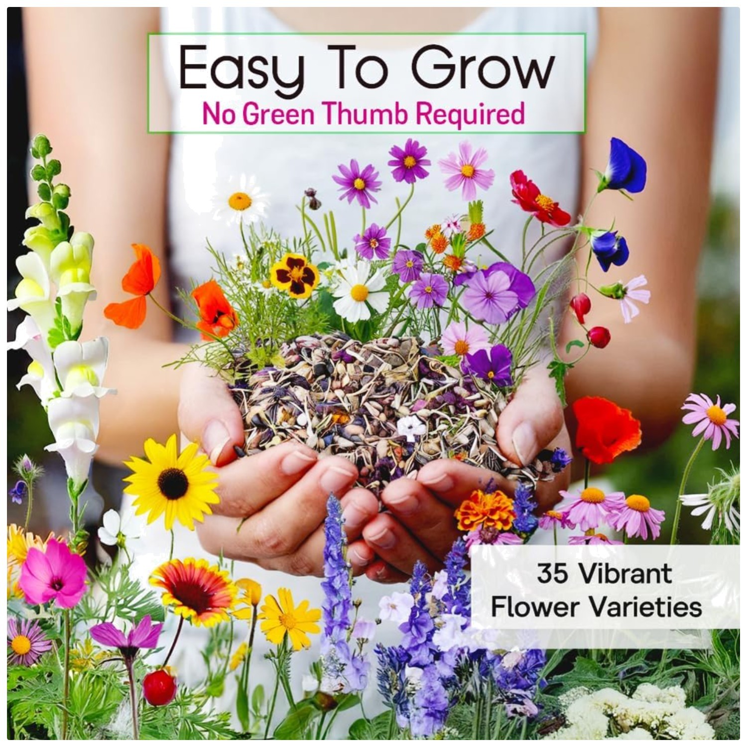 Attract Pollinators with Wildflower Seeds