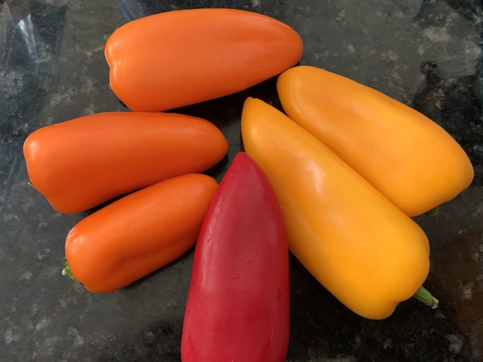 100 + SEEDS “LUNCHBOX” SWEET ORGANIC SNACKING PEPPER VARIETY COLORS – HEIRLOOM