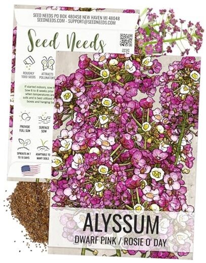 Dwarf Pink Alyssum Seeds for Planting – Heirloom & Open 1 Pack (1,000 Seeds)