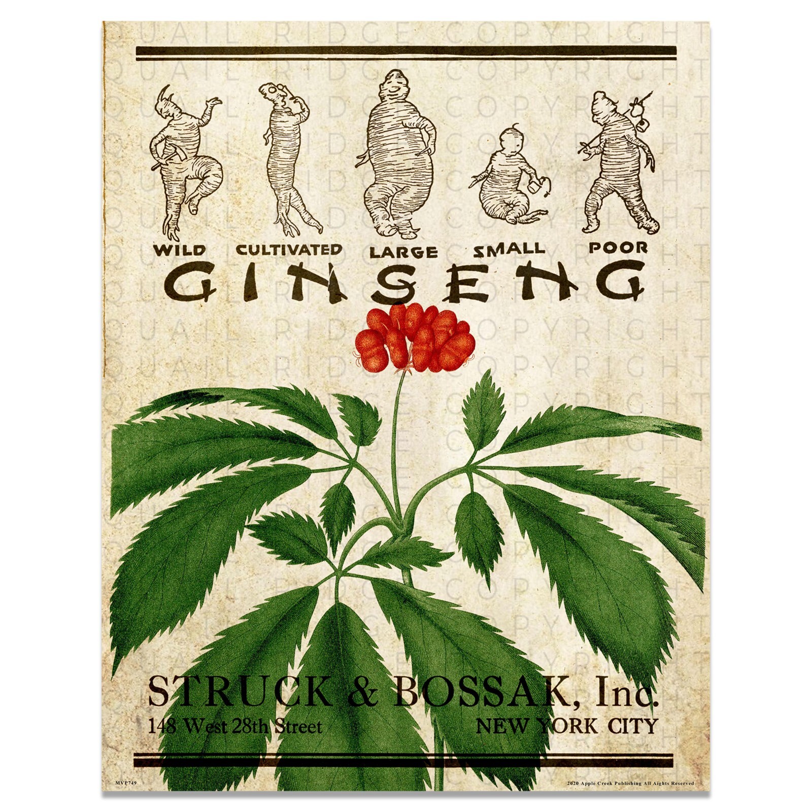 Wild Ginseng Root Poster Art Print Vintage Ginseng Hunting Wall Art Decor Gift
