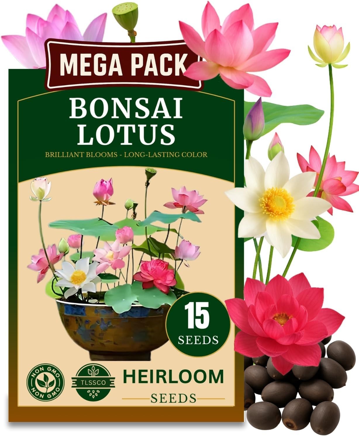 High Germination Lotus Seeds – 15 Pack of Exotic Organic Seeds for Pond Decor