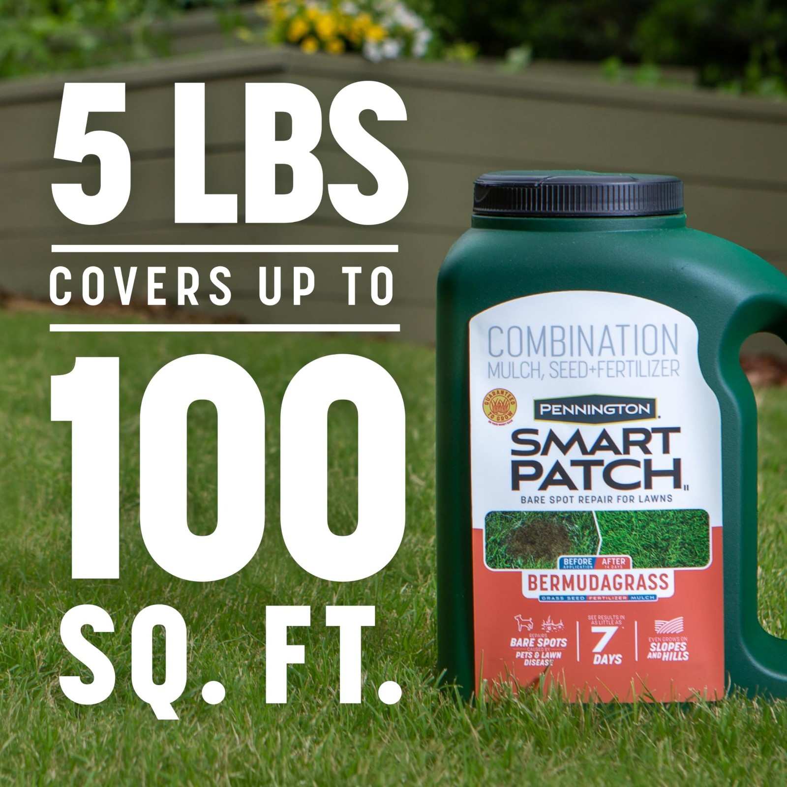 Bermuda Grass Seed 5 lb Jug – Smart Patch for Lush Lawn Repair & Growth