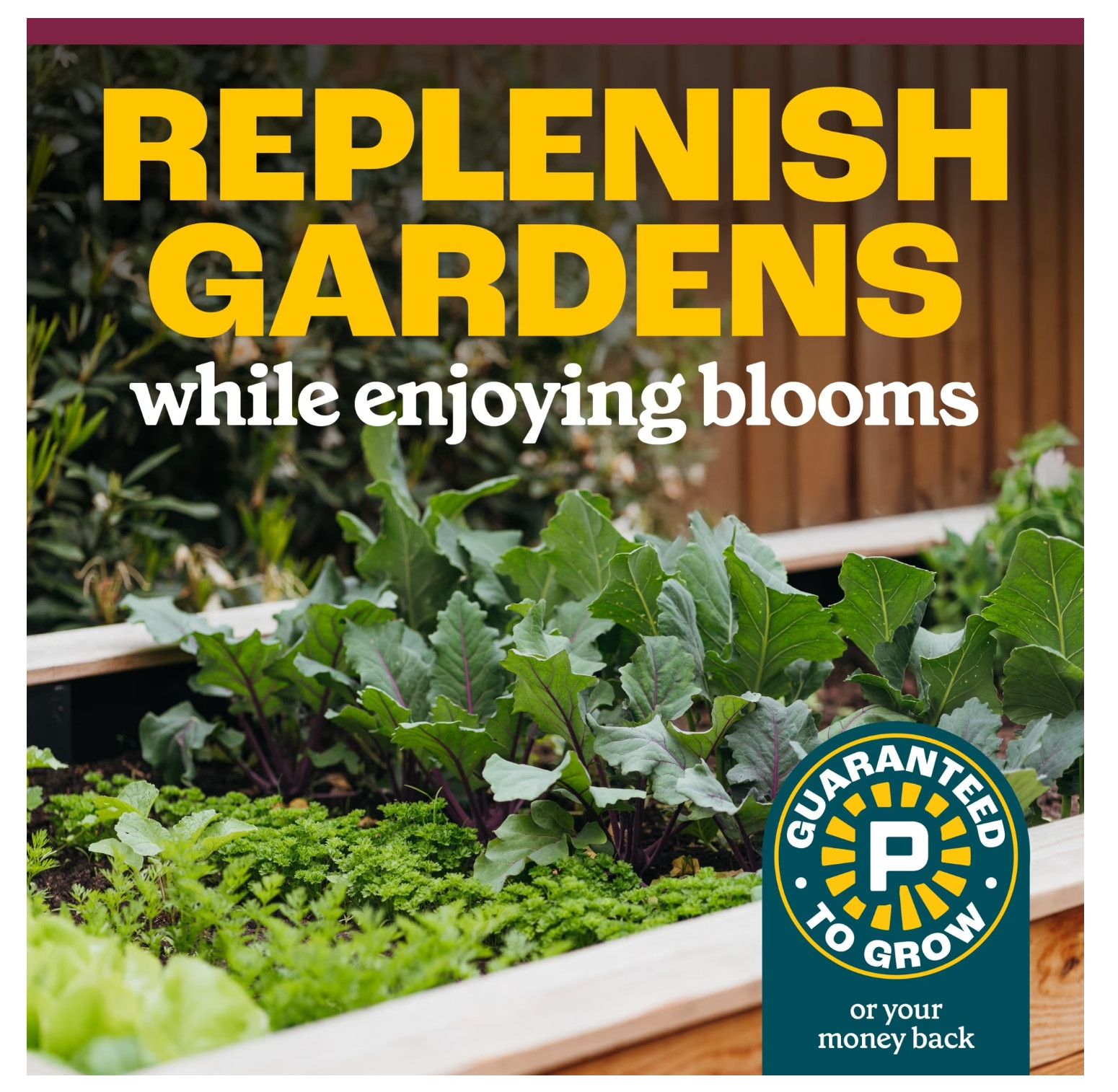 Pennington Cover Crop 2lb Grass Seed Mix for Stronger Garden Soil