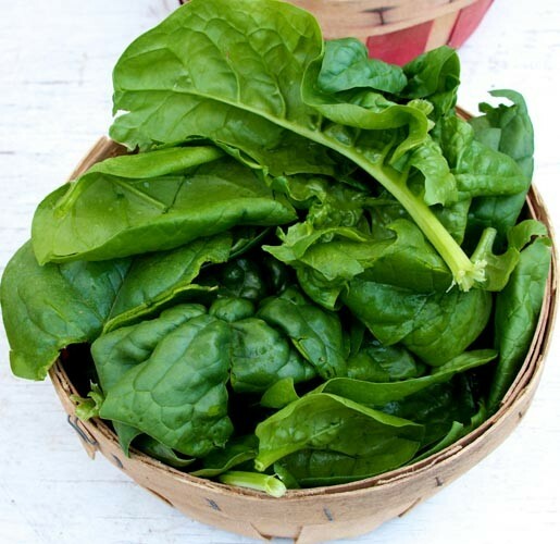 250+ Bloomsdale Spinach Seed Heirloom NON-GMO Always Fresh Seeds Your Garden