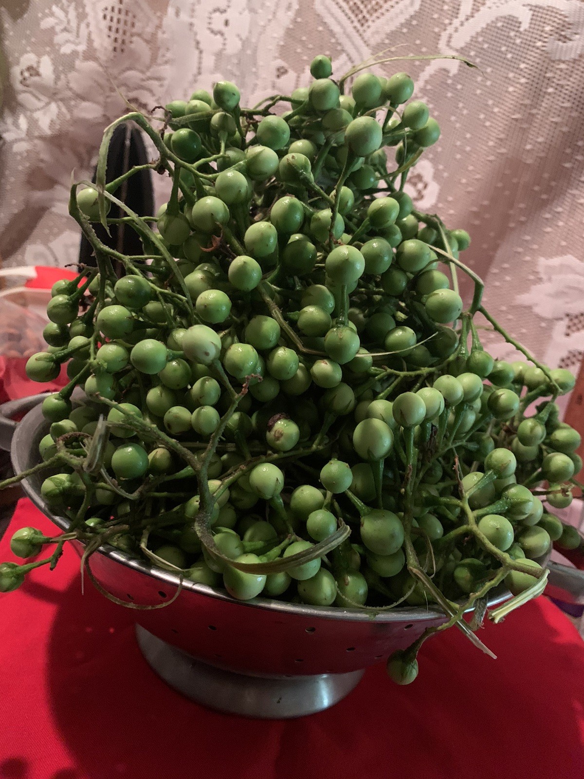 💥500 Fresh Thai Pea Eggplant, Zanmoret Seeds Pea Eggplant Turkey Berry Organic