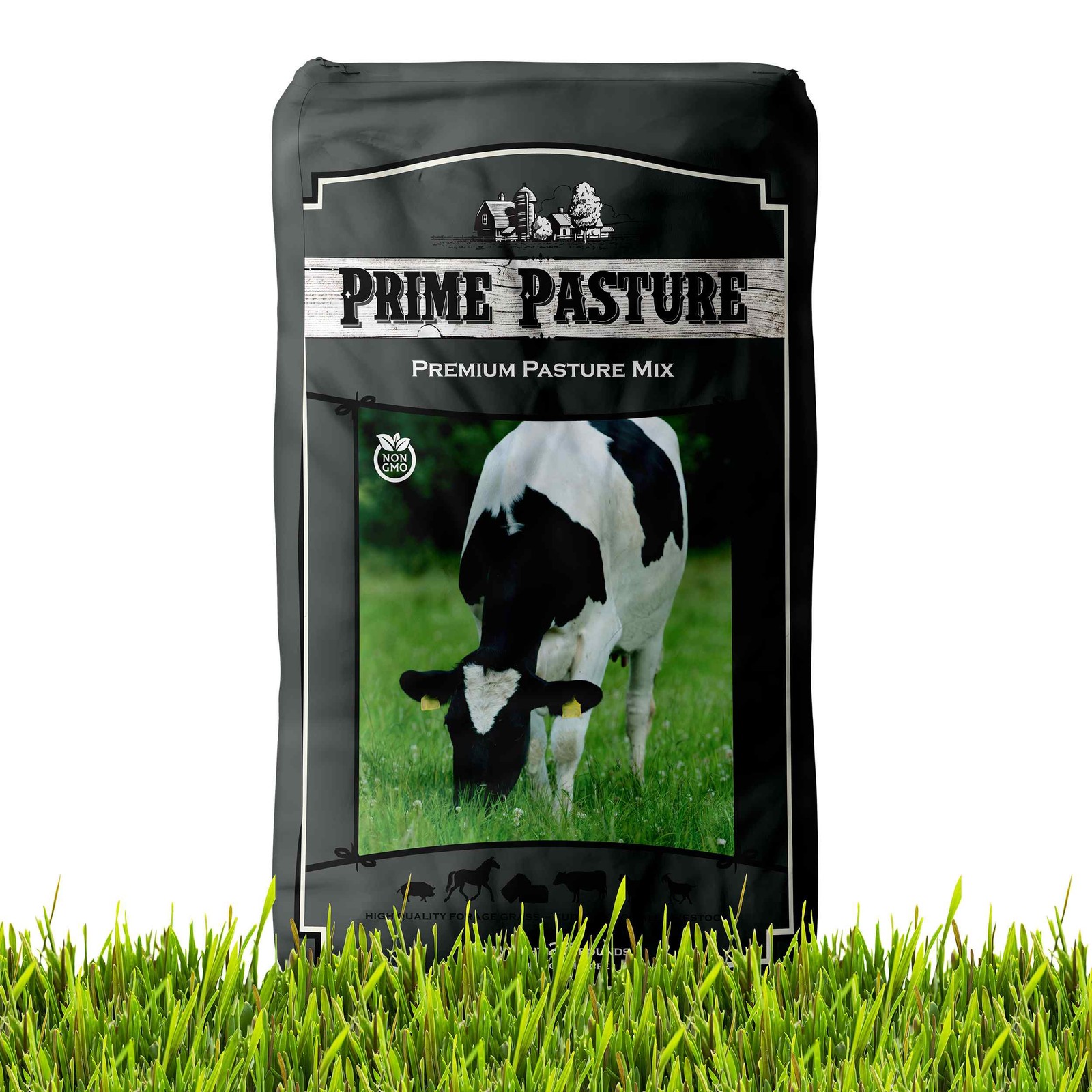 25 LBS Annual Ryegrass Seed – Cover Crop