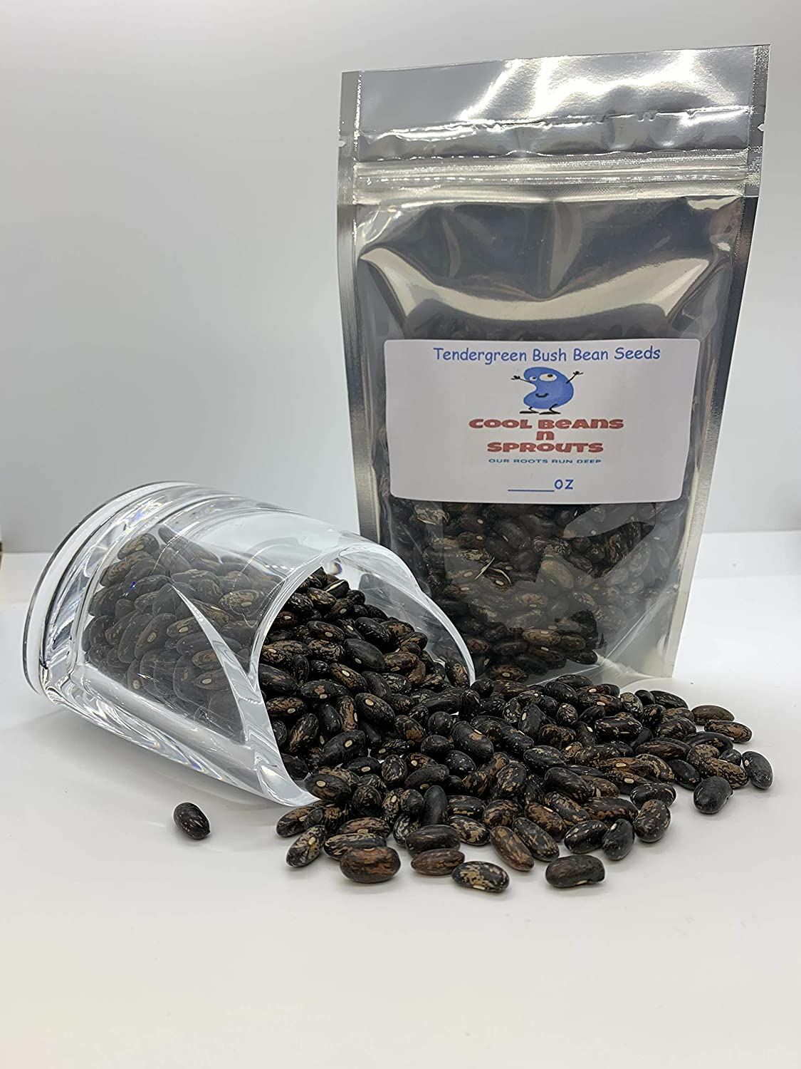 Bean Tendergreen Bush Bean Seeds ,”COOL BEANS N SPROUTS” Brand. Home Gardening.