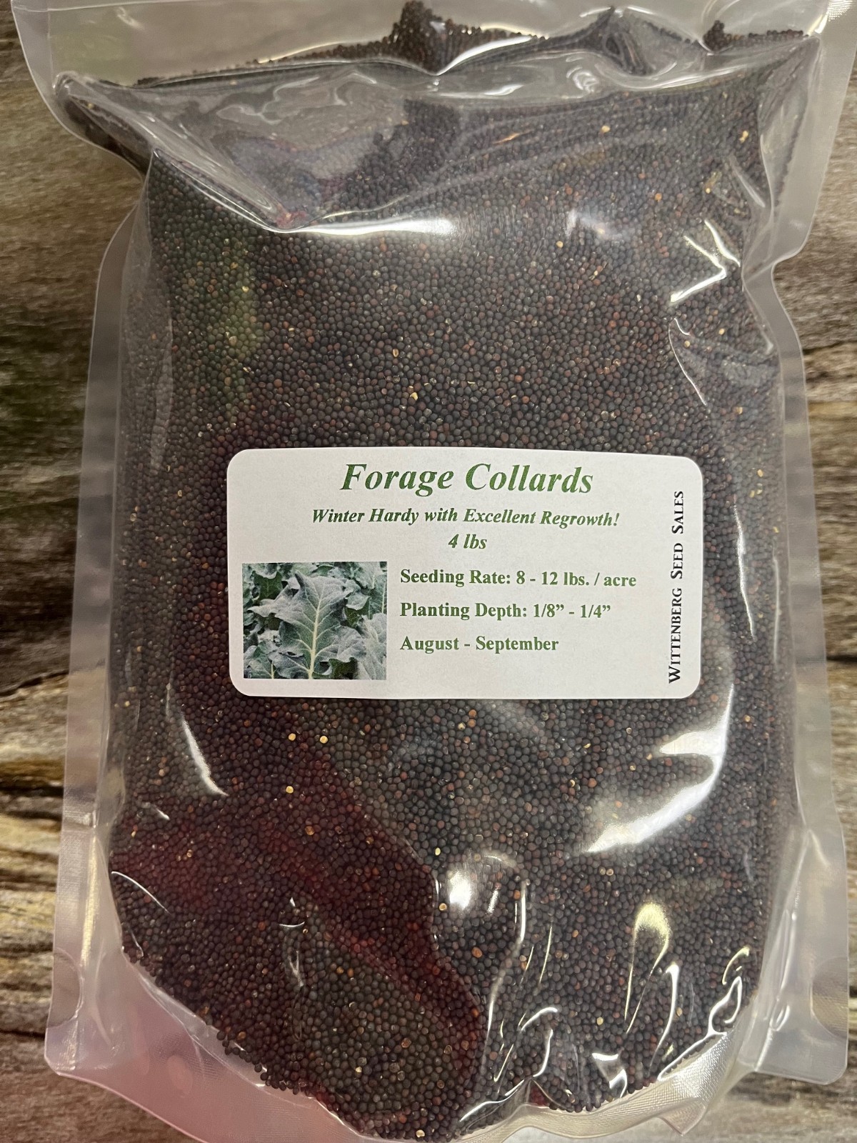 4 lbs Forage Collards Seed – Deer Food Polt / Wildlife Seed
