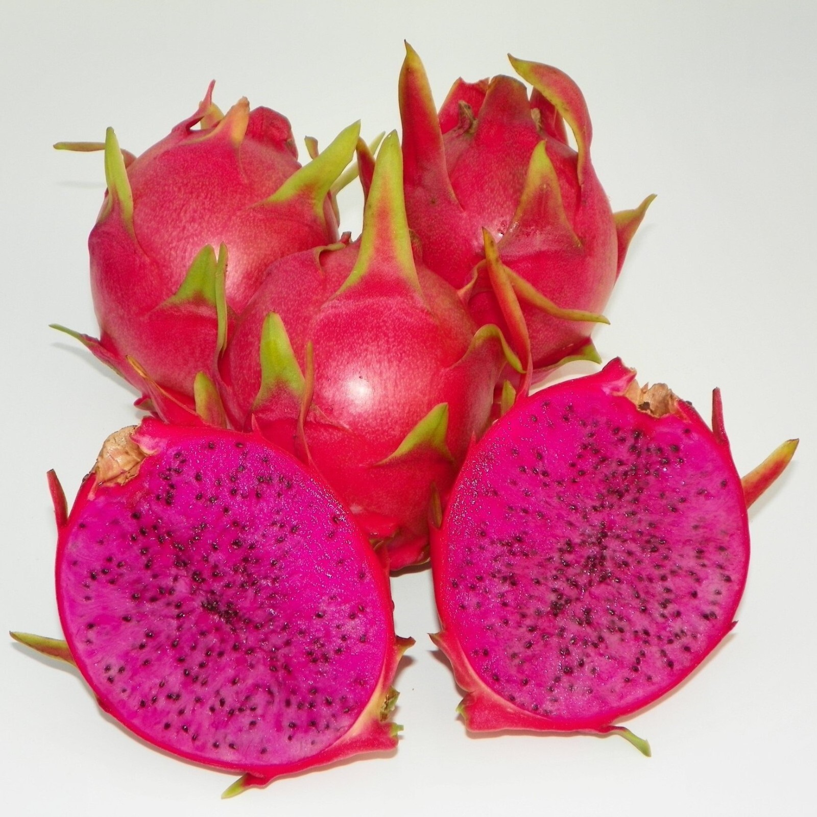 LOT of 7 SETS of 2 ,Dragonfruit,Live,Plant, Mixed Cuttings Pitaya Ready to Grow