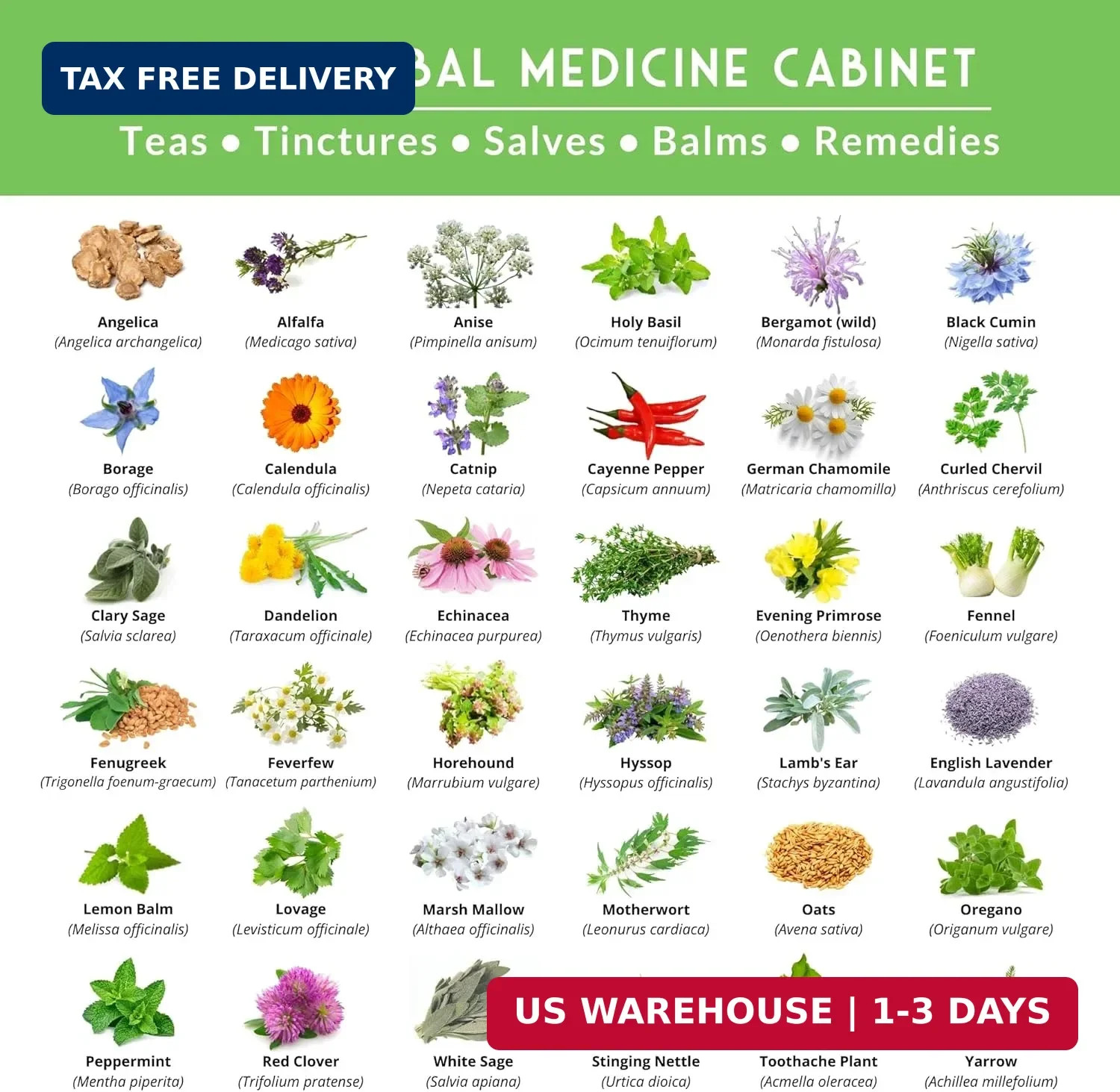 Ultimate Medicinal Herb Seeds Variety Pack – 36 Heirloom Non-GMO Healing Herbs f