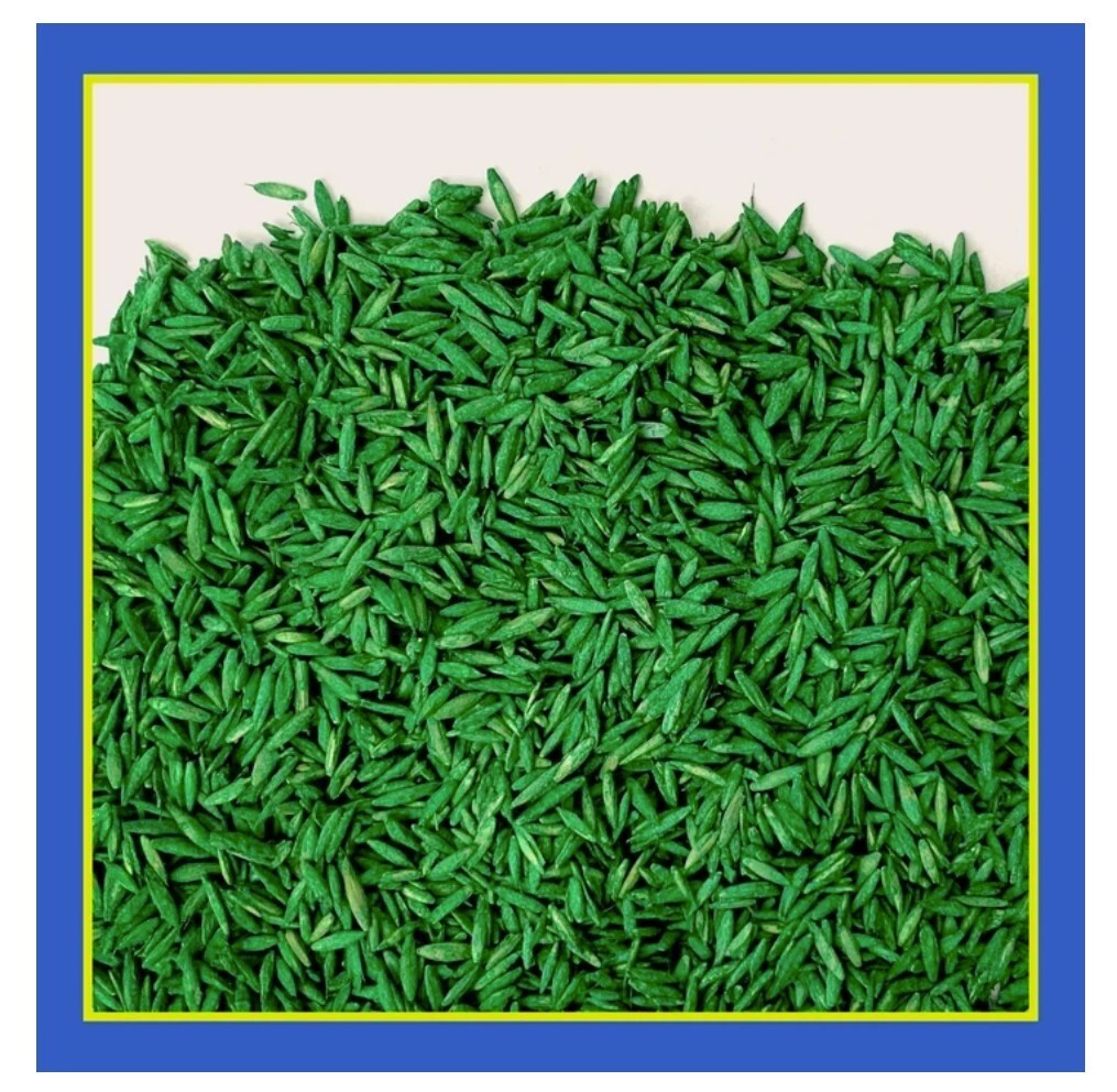 Smart Seed Clover & Grass Seed Mix, 7 lb, Low-Maintenance