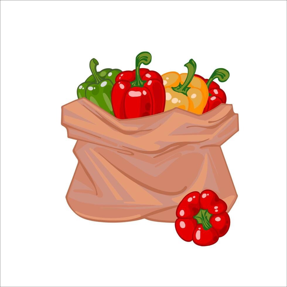 American Big Red Sweet Bell Pepper, NON-GMO, Heirloom, Variety Sizes,