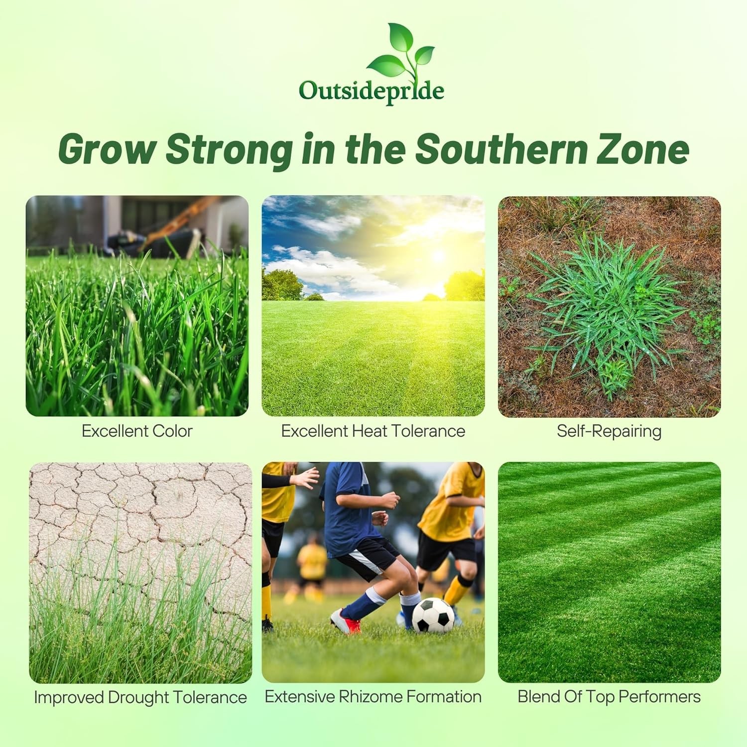 25 LBS – OptiGrowth Coated Combat Extreme&trade; Southern Zone Grass