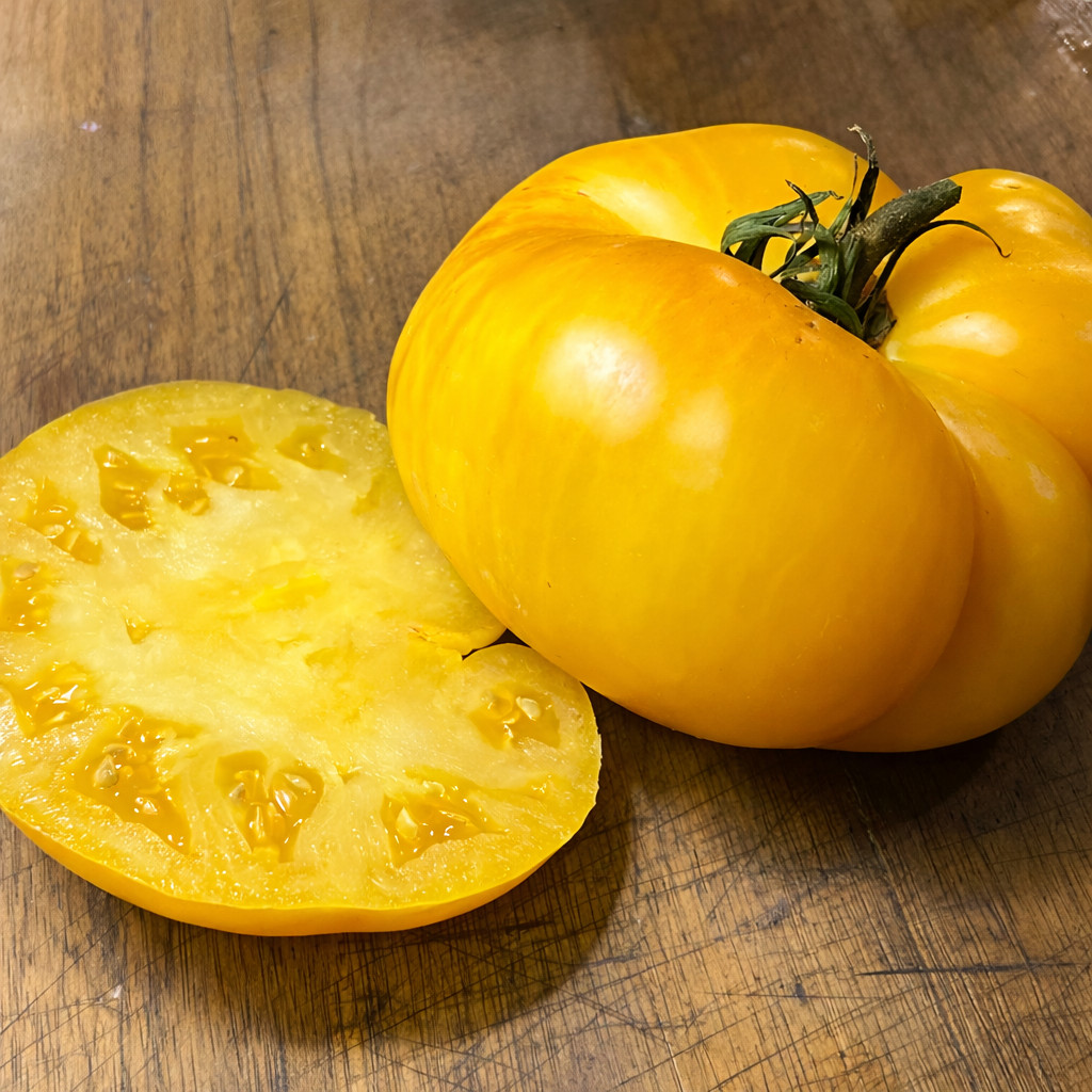 100 Heirloom Yellow Brandywine Tomato Seeds – The Most Flavorful Yellow Tomato!!