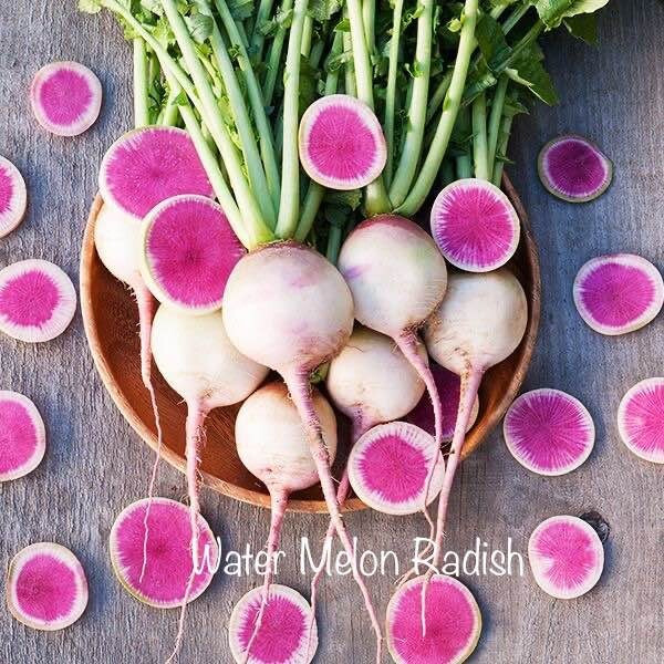 Radishes Lover Heirlooms Seeds – 5 Packs Bundle Deal