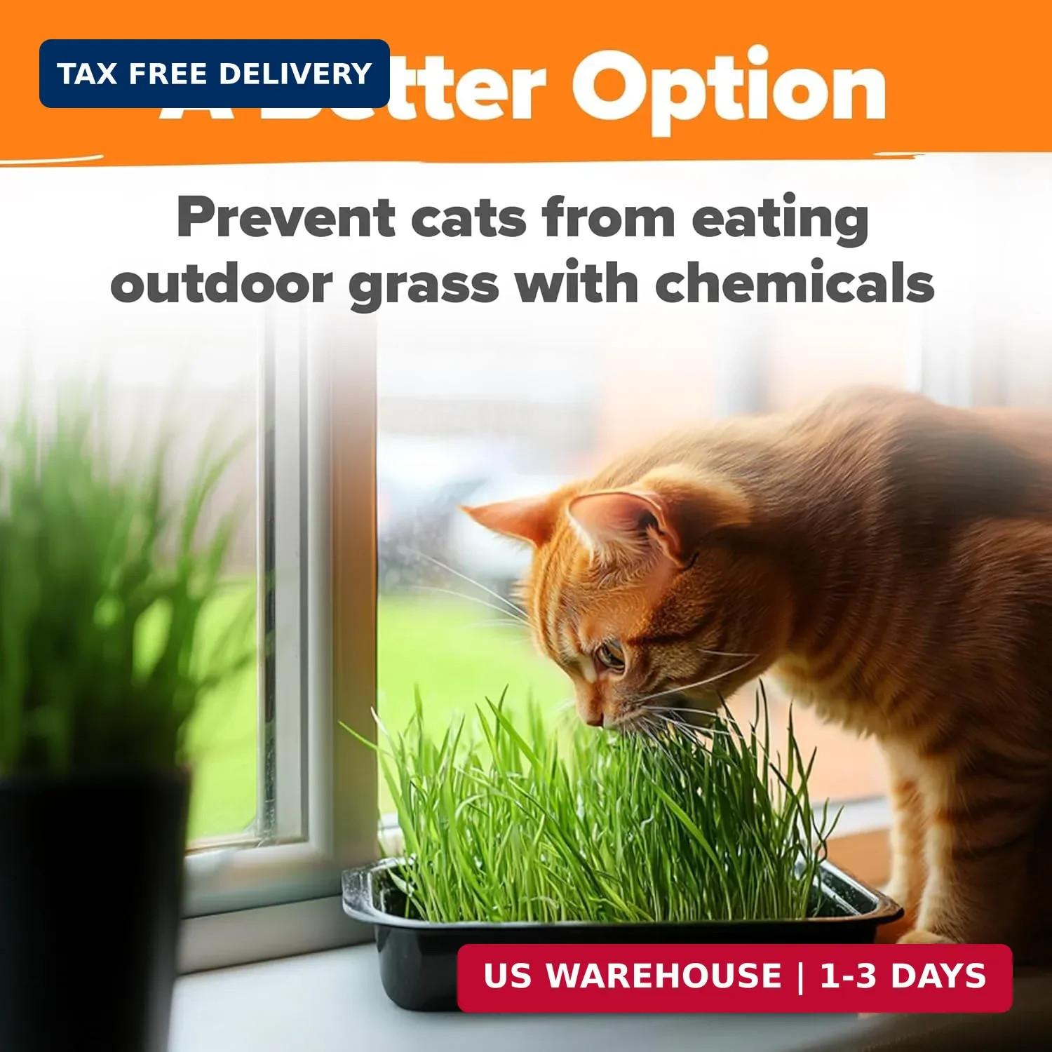 Home Grown 3200+ Indoor Cat Grass Refill – Non-GMO USA Grown Catnip, Oat & Alfal