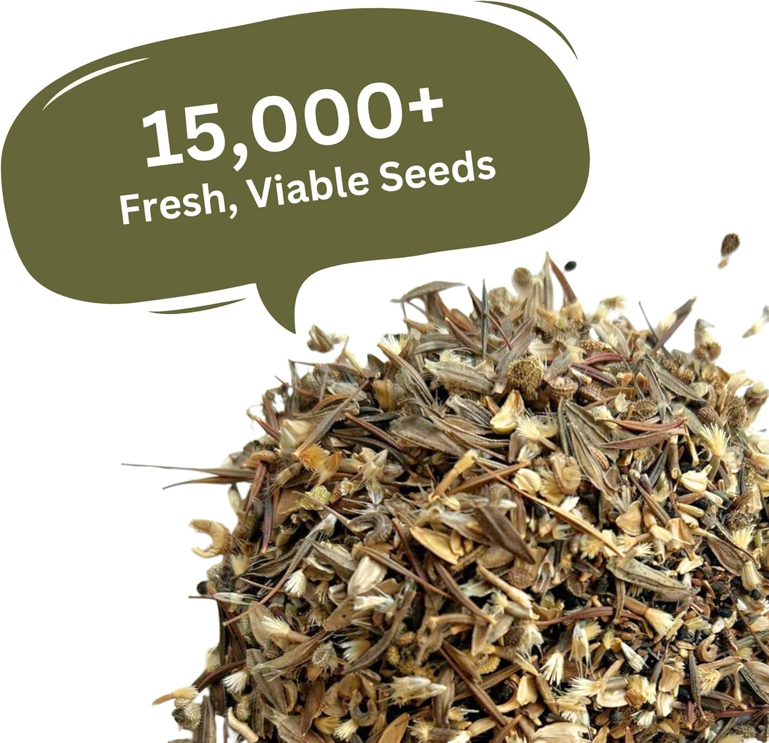 Cut Flower Garden Seed Mix – 15,000+ Seeds – 1 oz Extra Large Packet – Non-GMO F