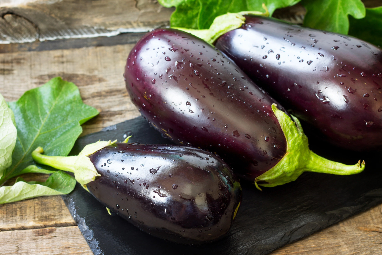 1000 BLACK BEAUTY EGGPLANT Solanum Melongena Esculentum Vegetable Seeds