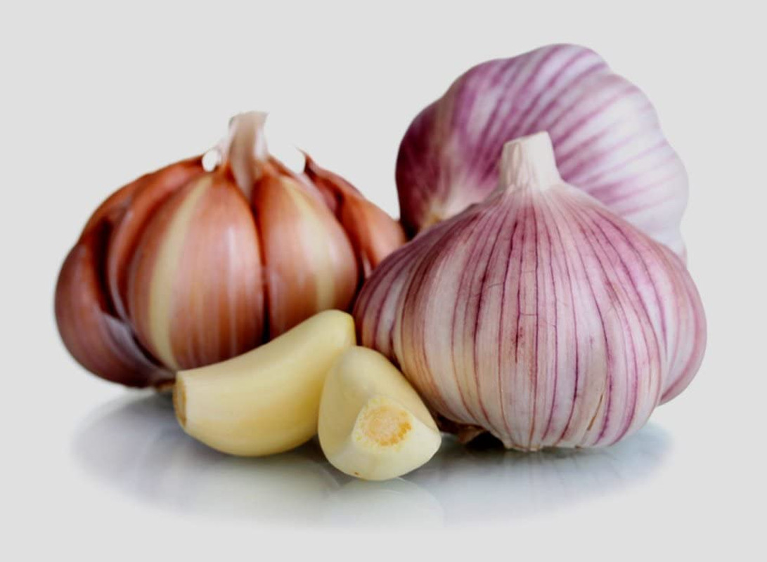 Garlic Bulb (10 Pack), Fresh Siberian HARDNECK Garlic Bulb for Planting and Grow