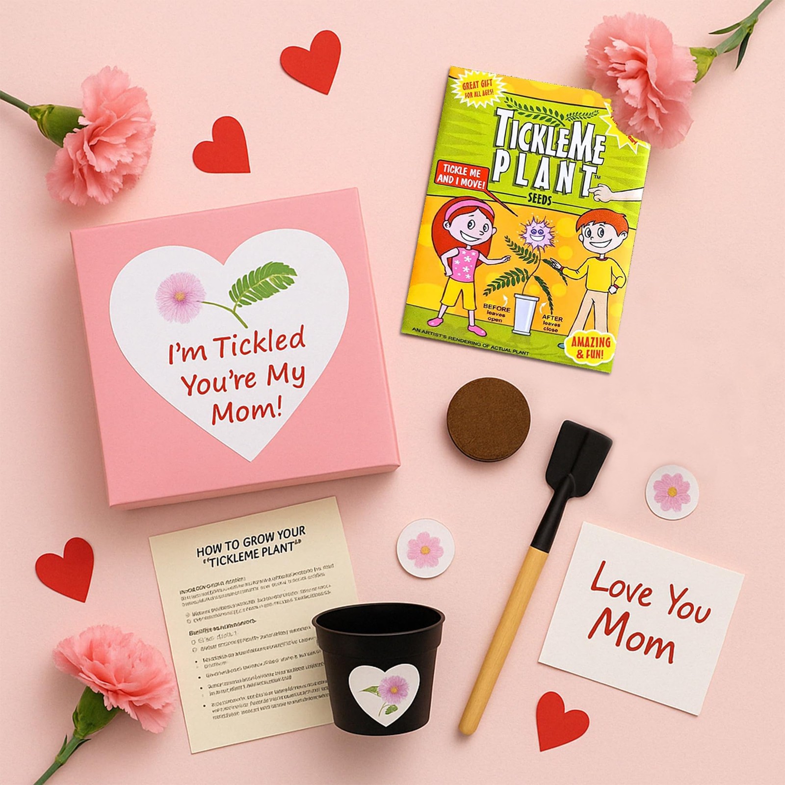I’m Tickled You’re My Mom Happy Birthday Mom Gift Box Tickle Me Plant Set