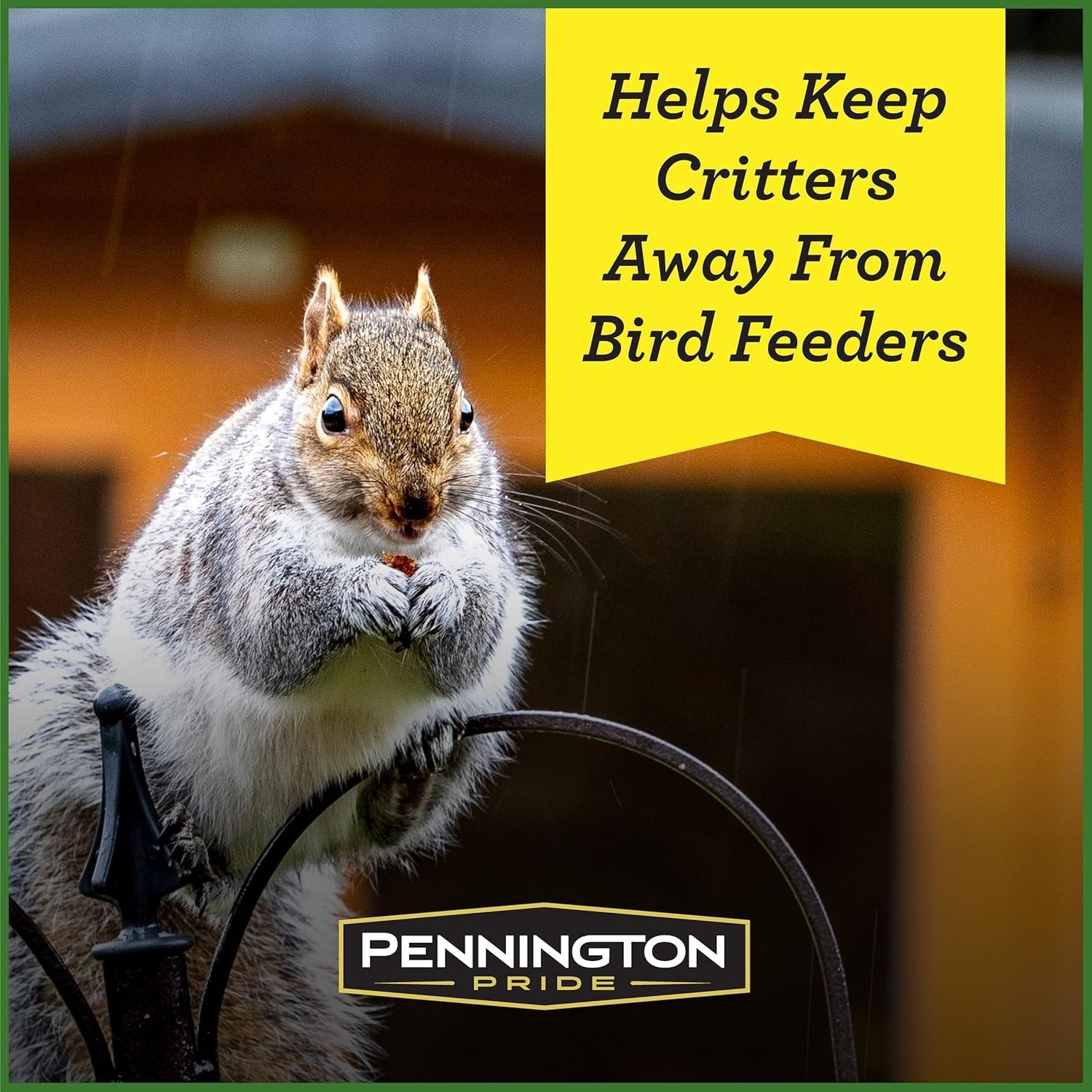 Pride Squirrel & Critter Blend, With Sunflower Seeds and Peanuts for Squirrel…