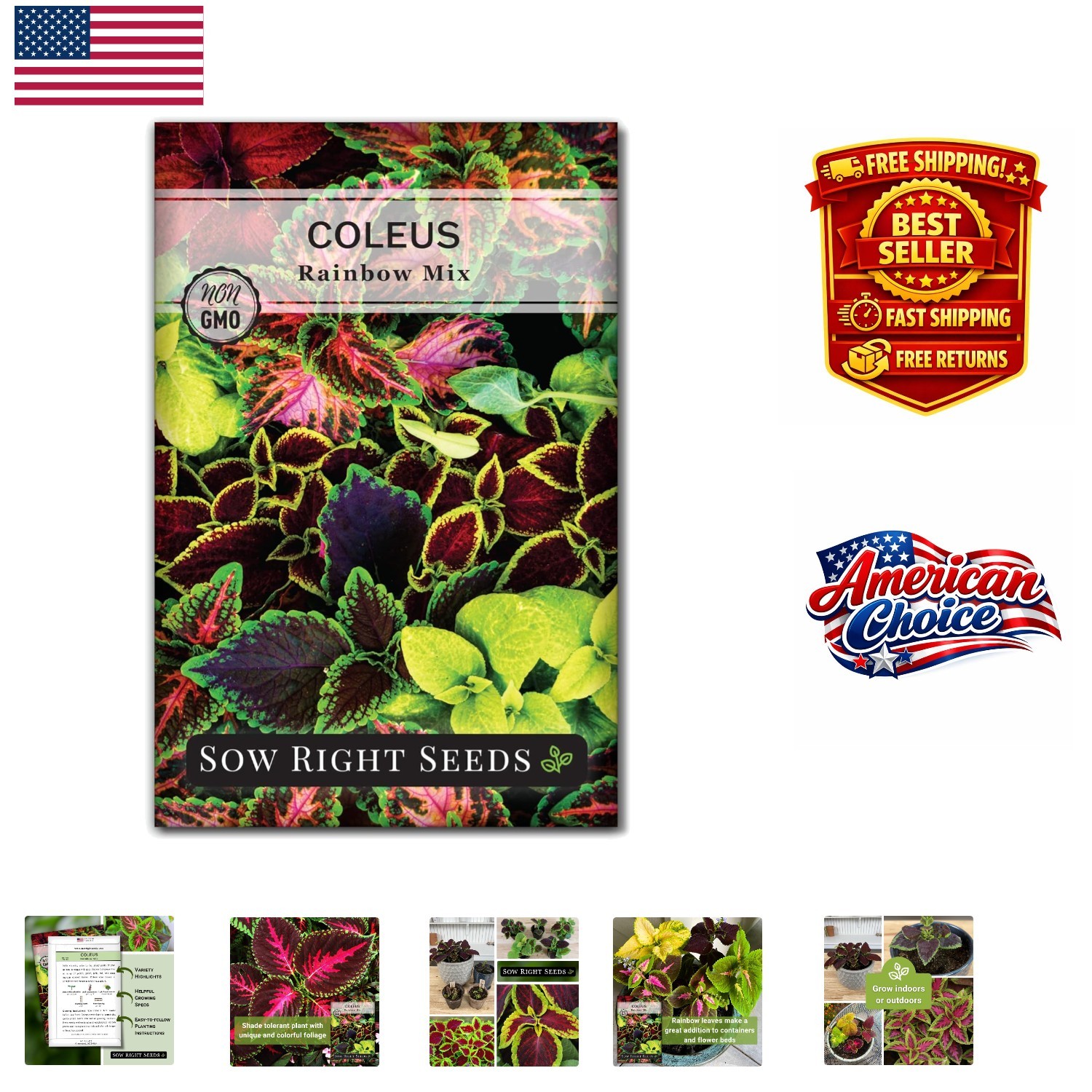 Heirloom Rainbow Coleus Seeds – Colorful Foliage for Indoor/Outdoor Spaces