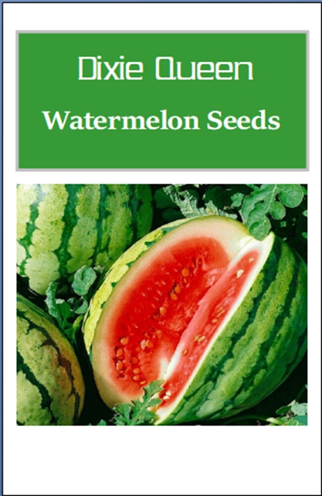Dixie Queen Watermelon Seeds | NON-GMO | Heirloom | Fresh Garden Seeds
