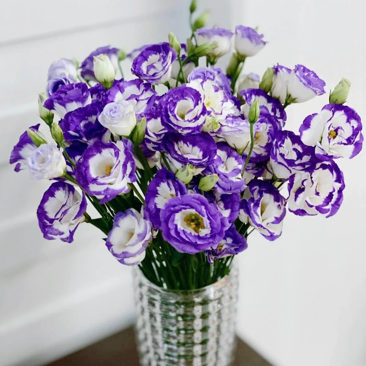 300+Mixed Lisianthus Flower Seeds for Planting Outdoor-Perennial Eustoma Cut Flo