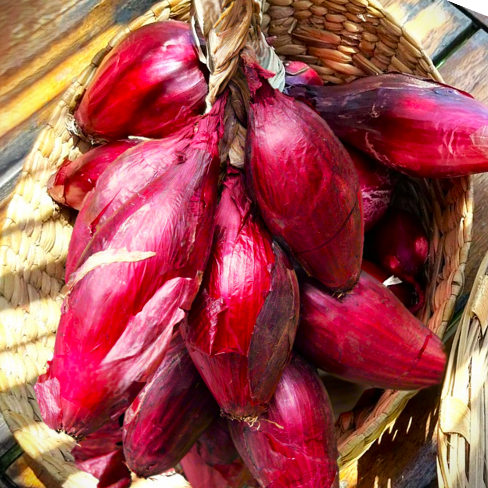 Red Tropea Onion Seeds | Italian Rossa Di Cipolle Torpedo Long Onions Seed 2025