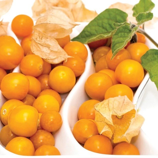 PERUVIAN GROUND CHERRY Physalis Peruviana Cape Gooseberry Fruit Veggie Seeds