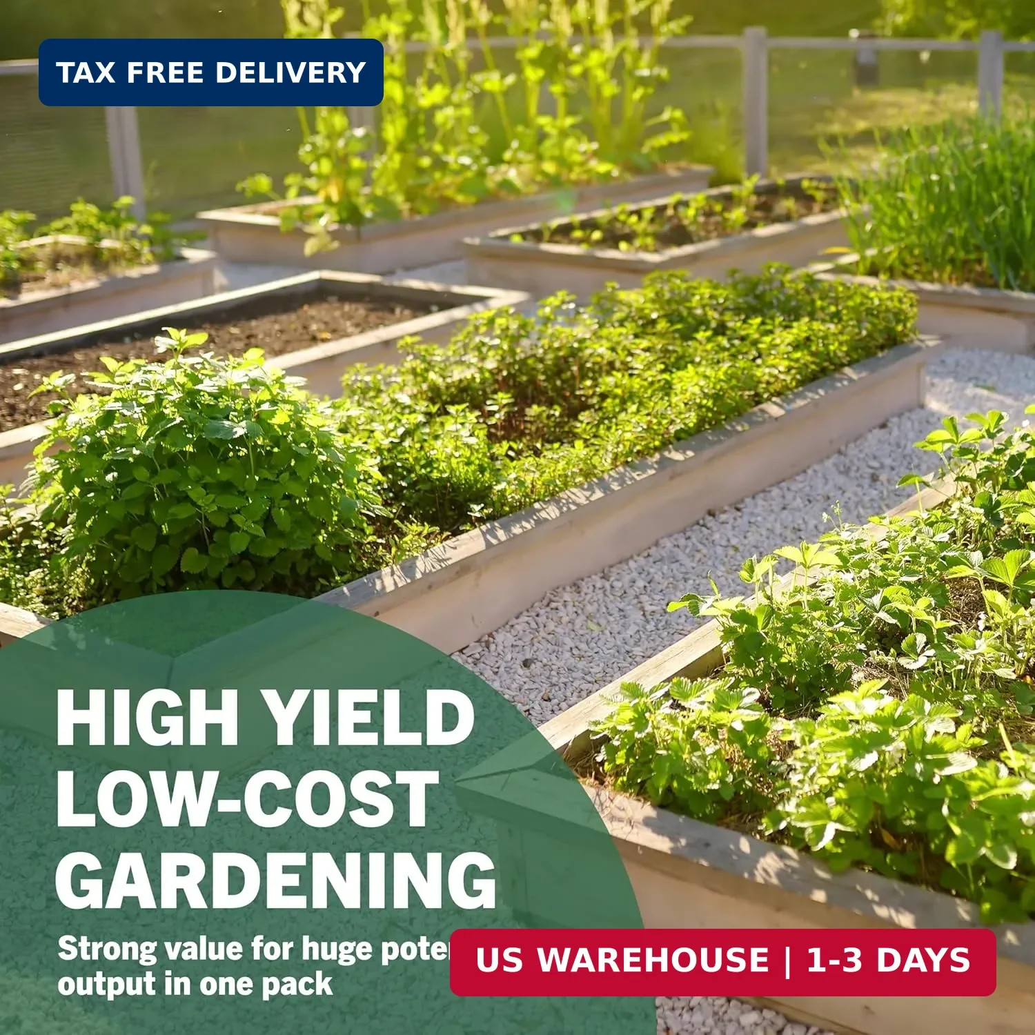 Vegetable & Fruit Seeds | 32 Individual Packs | 2026 Season | Non-GMO, High Yiel