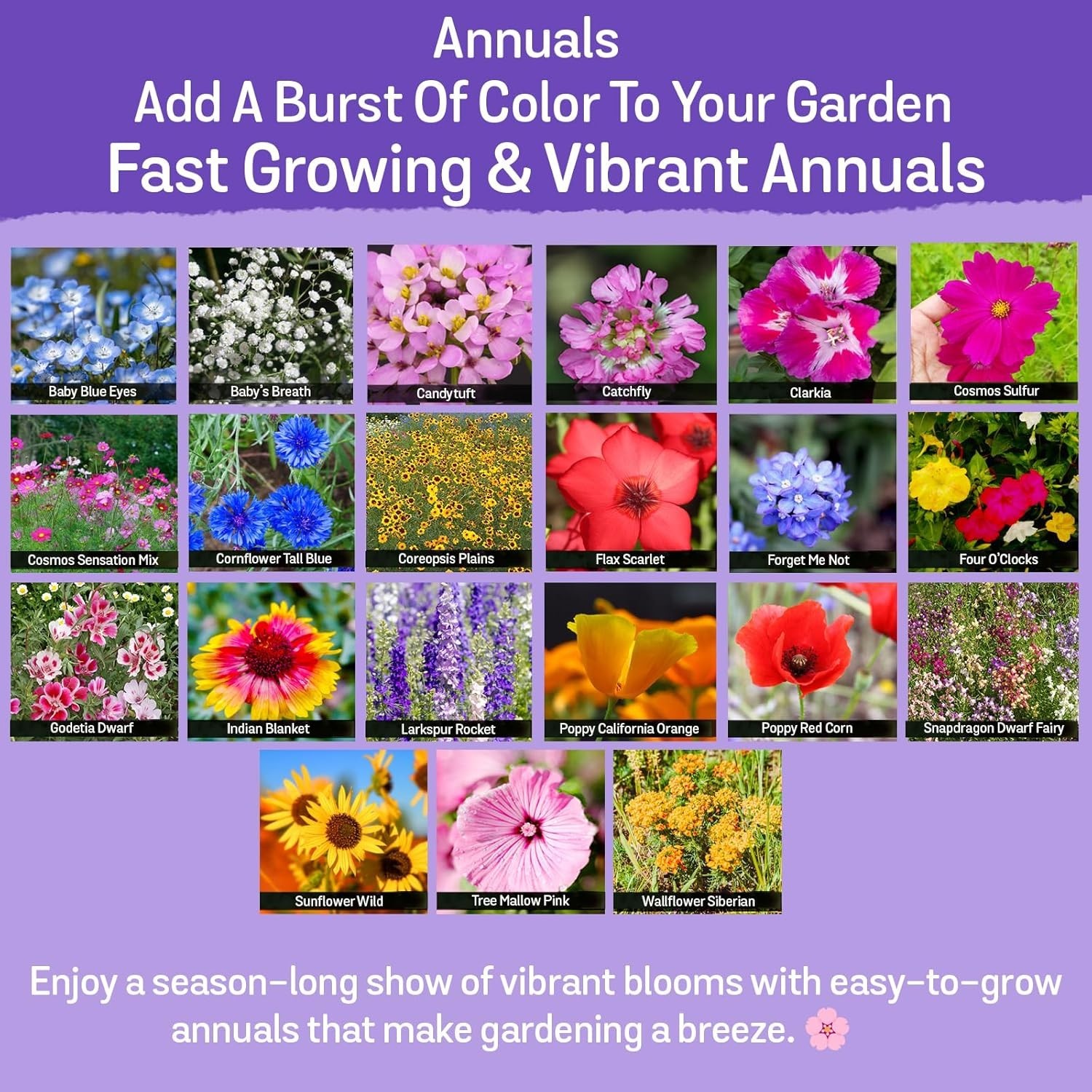 Attract Pollinators with 340,000 Non-GMO Wildflower Seeds – 35 Flower Varieties