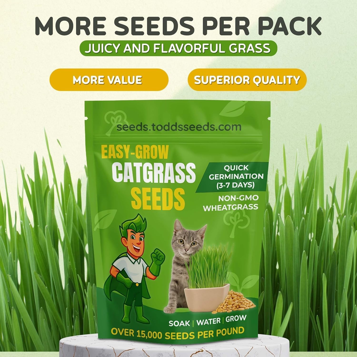 Todds Seeds – Cat Grass for Indoor or Outdoor Cats, 1lb Wheatgrass – Premium,