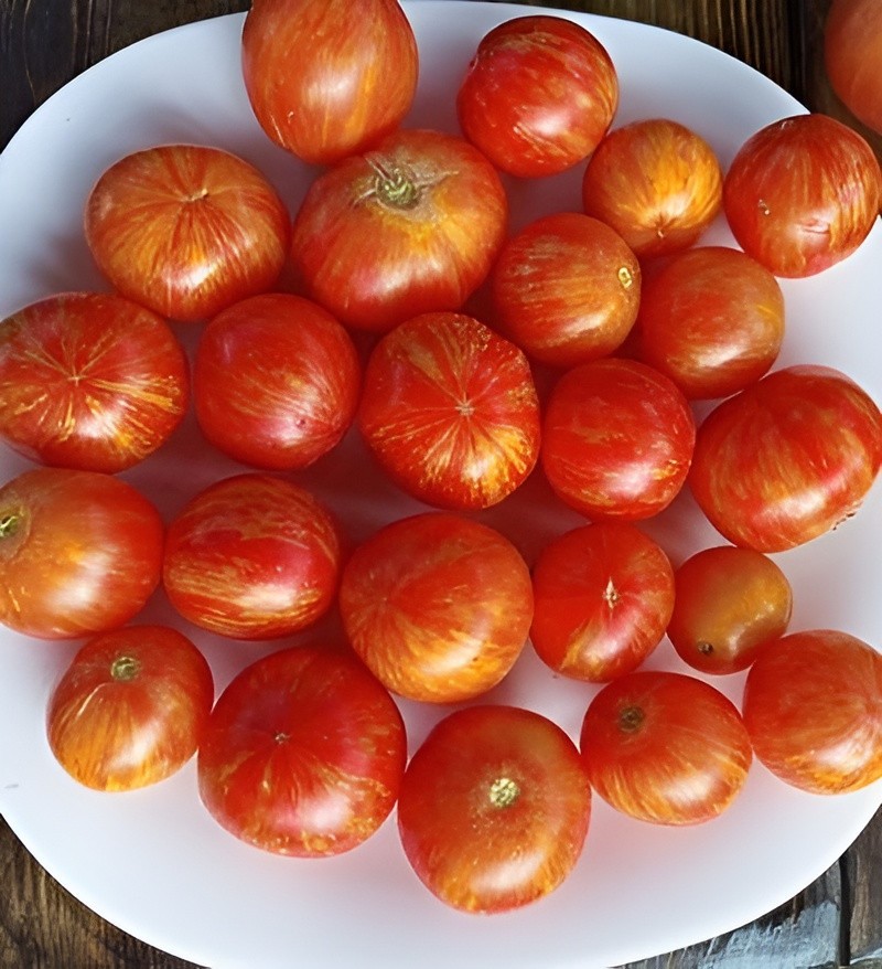 100 Bi-Color Cherry Tomato Seeds – Red w/Golden Swirls – Very Sweet Low Acid