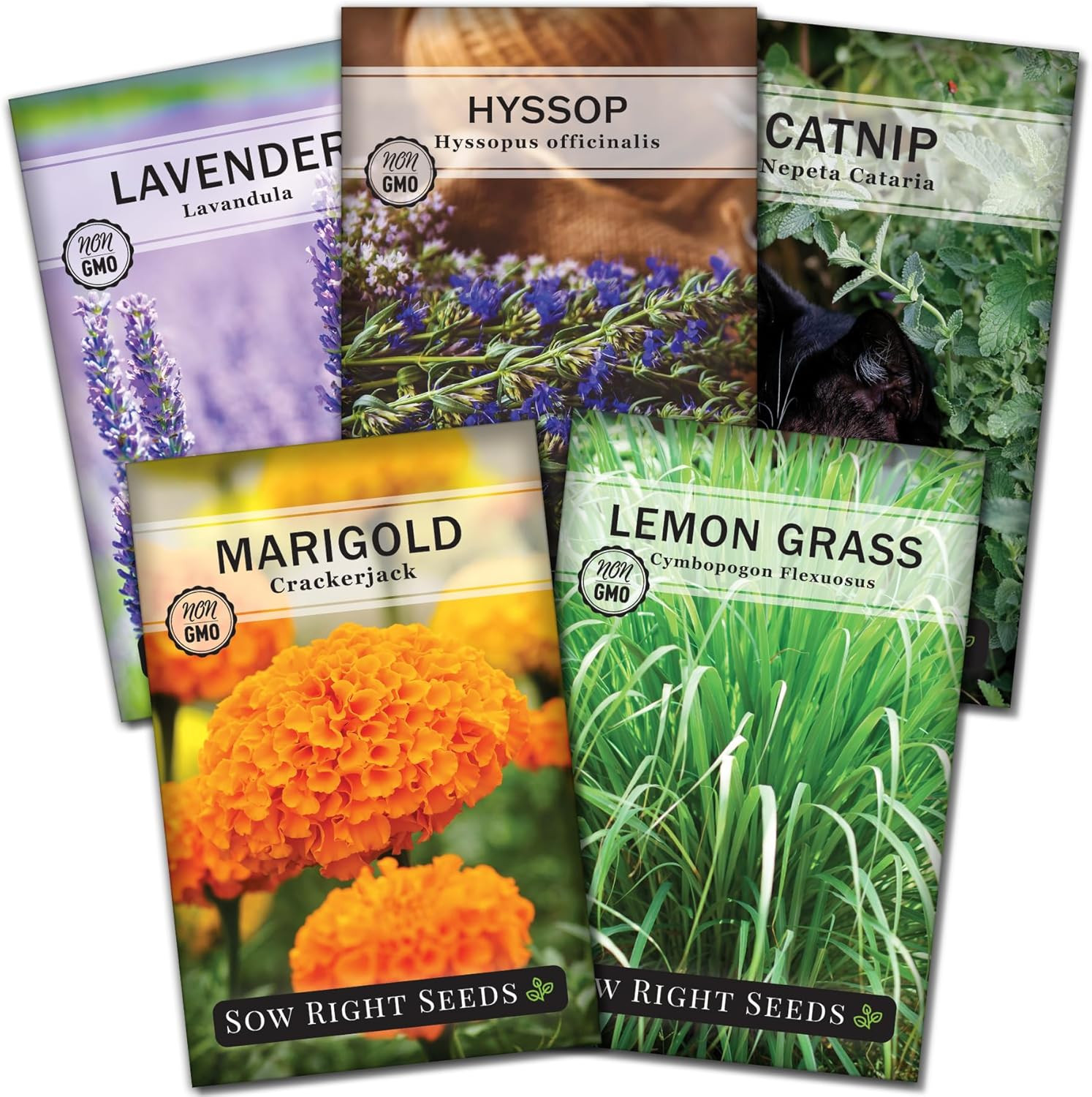 Insect & Pest Repellent Seed Collection 5 Packets Lavender Catnip Marigold