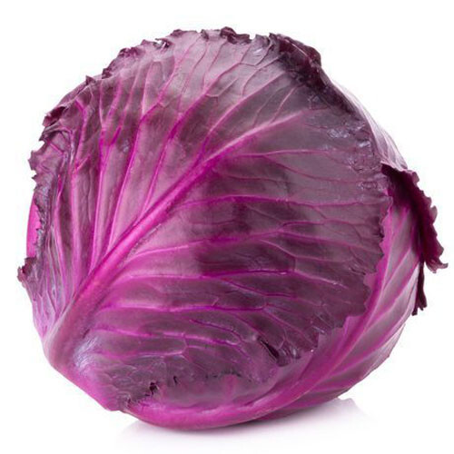 300+Seeds Red Acre Cabbage(Brassica Oleracea) Non-GMO Fresh Garden Vegetable USA