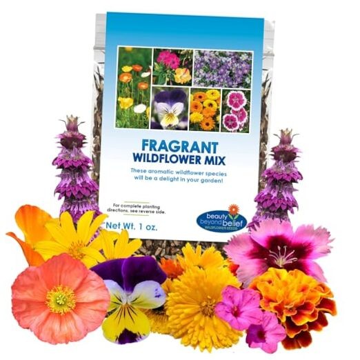 Fragrant Wildflower Seeds Mix – 1oz, Aromatic Annual and Perennial Wildflower